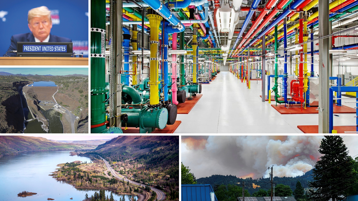 10 biggest environmental stories of 2024