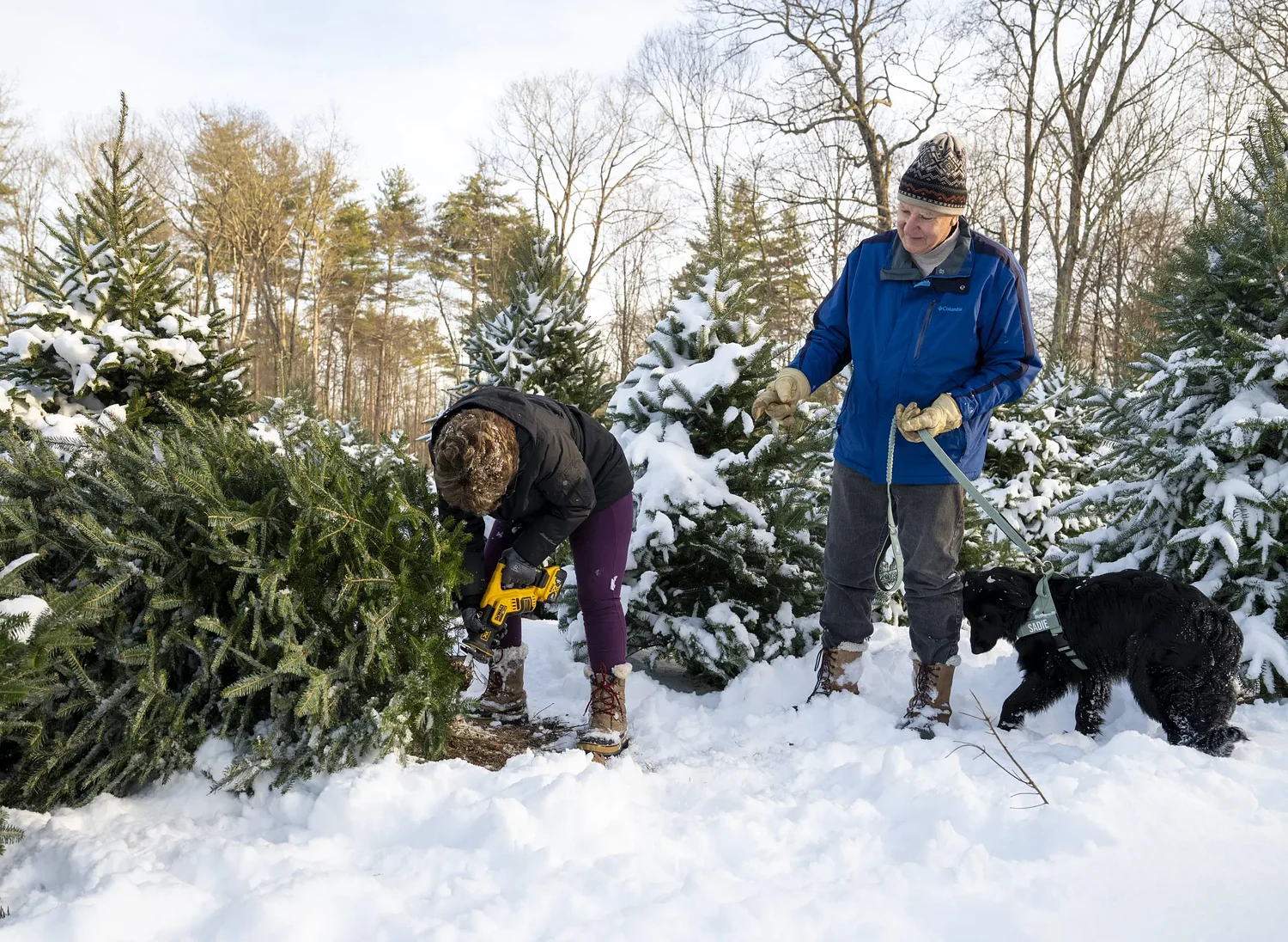 Valley Bounty: Frolic into some festive fun: Agritourism thrives at local farms with holiday events and activities