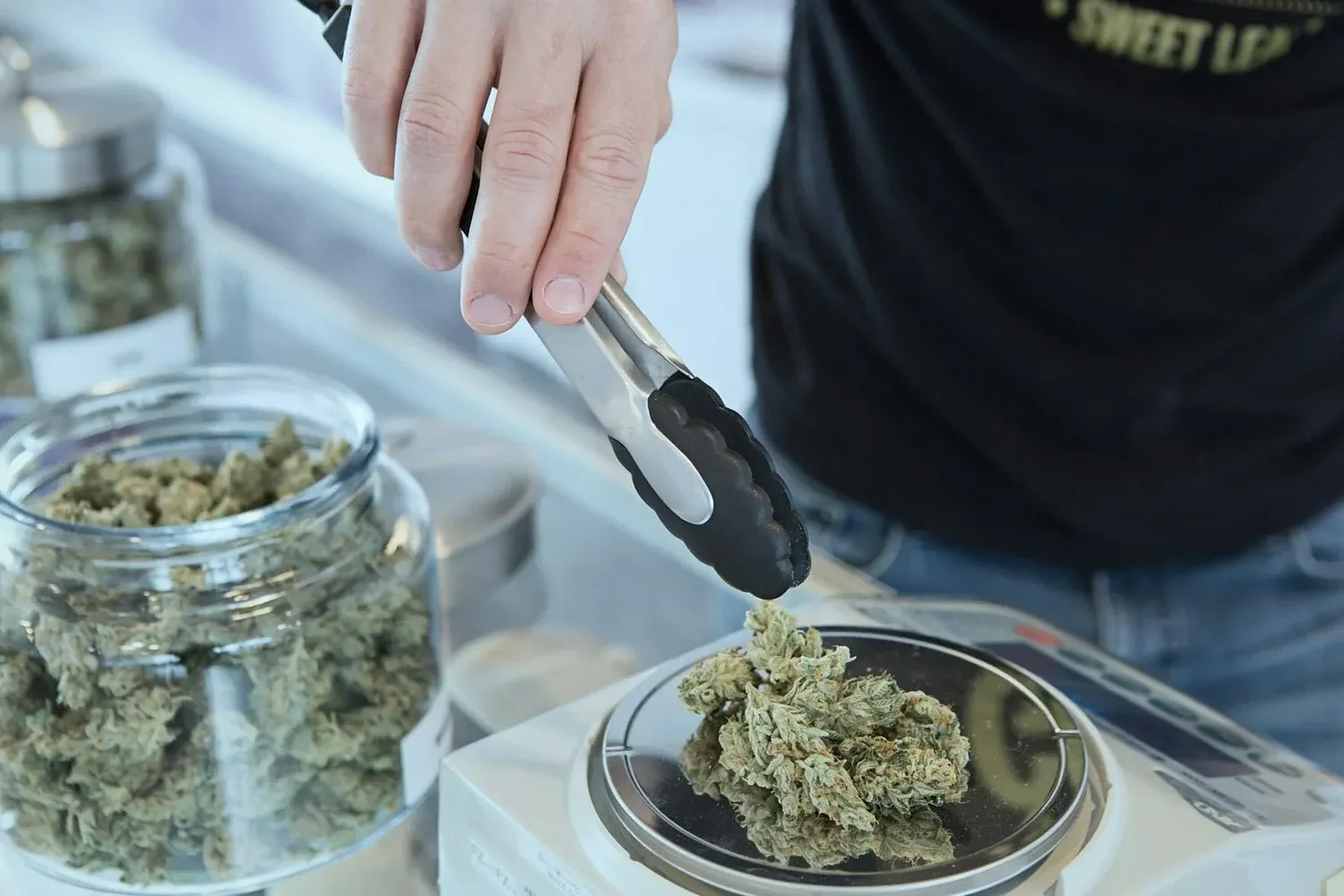 Commission approves framework for social cannabis use sites