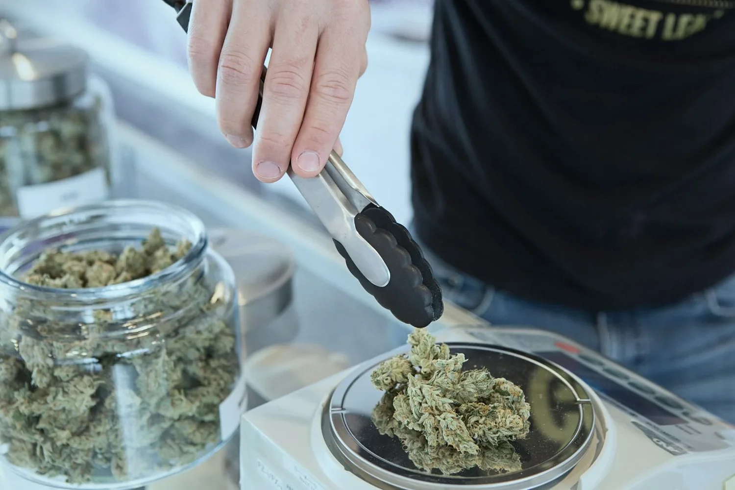 Commission approves framework for social cannabis use sites