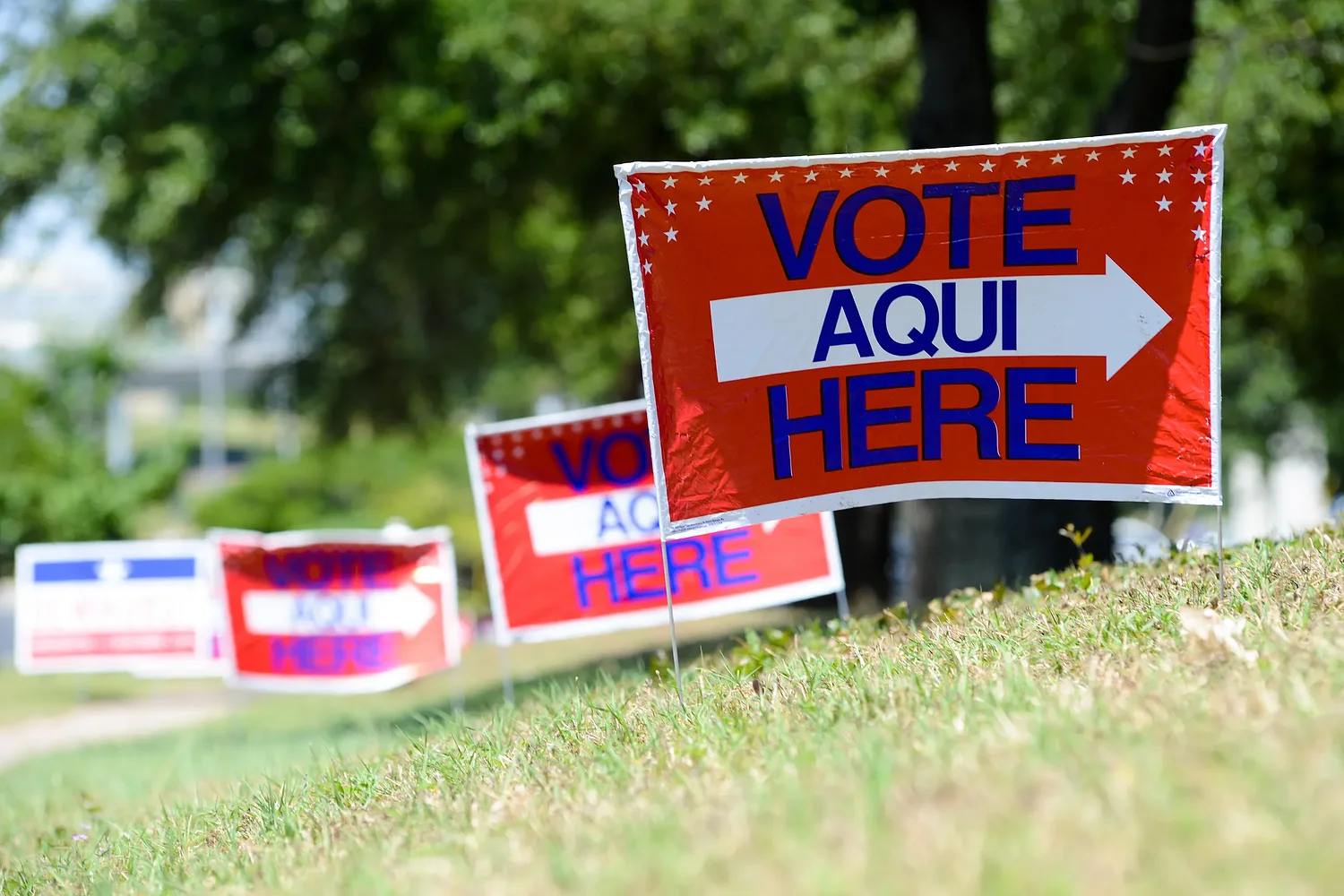 Calhoun County GOP missed deadline to report primary election results after choosing to hand-count ballots