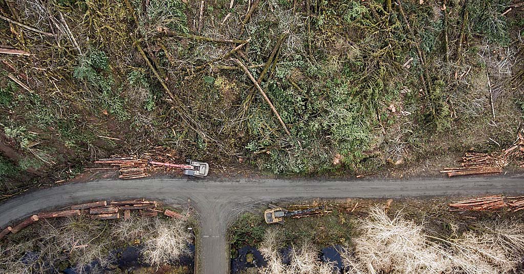 Why the world’s climate fate could depend on the ‘Amazon of the North’
