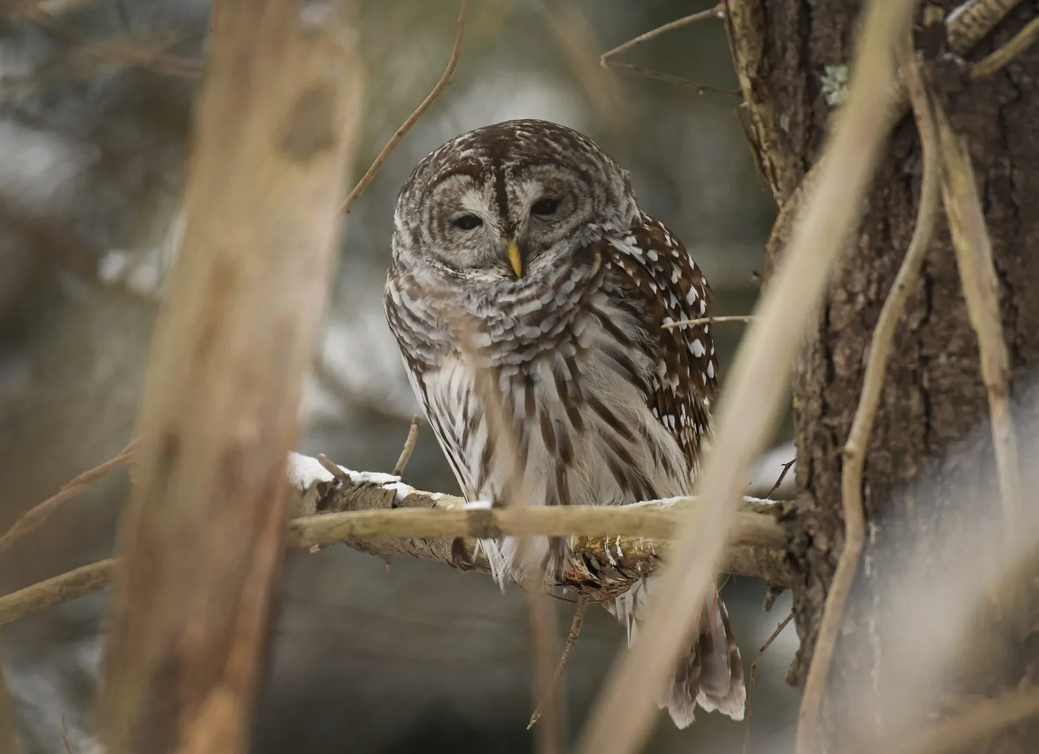 North Quabbin Notebook: March 27, 2026