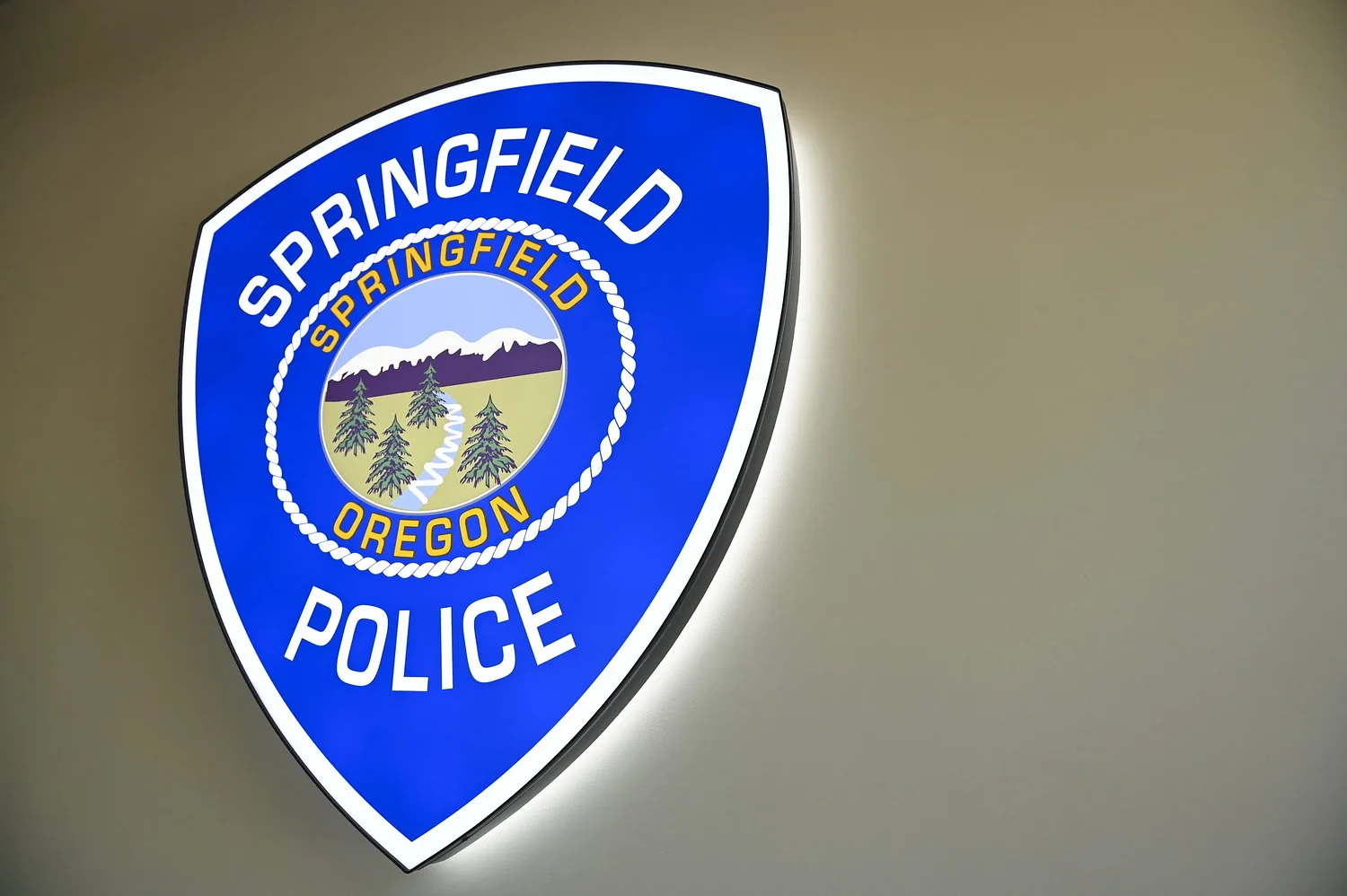 Police investigate vandalism to Flock cameras in Eugene, Springfield