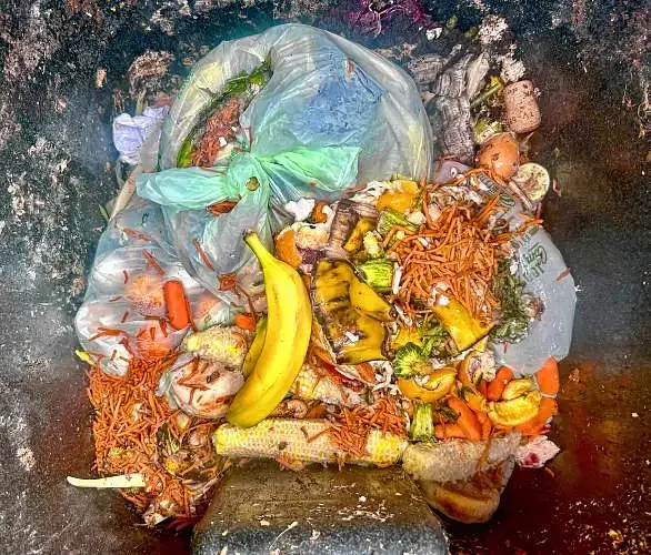 Concord explores food waste drop-off proposal
