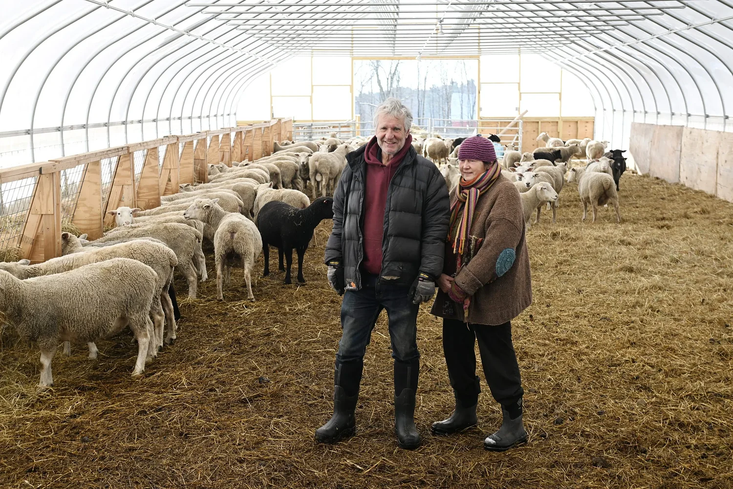 Shelter is a 'game changer': New greenhouse barn elevates animal comfort at Leyden Glen Farm