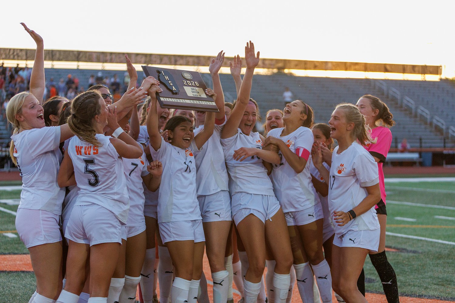 Dayami Arias’s laser lifts Wheaton-Warrenville South to sectional title over St. Charles East