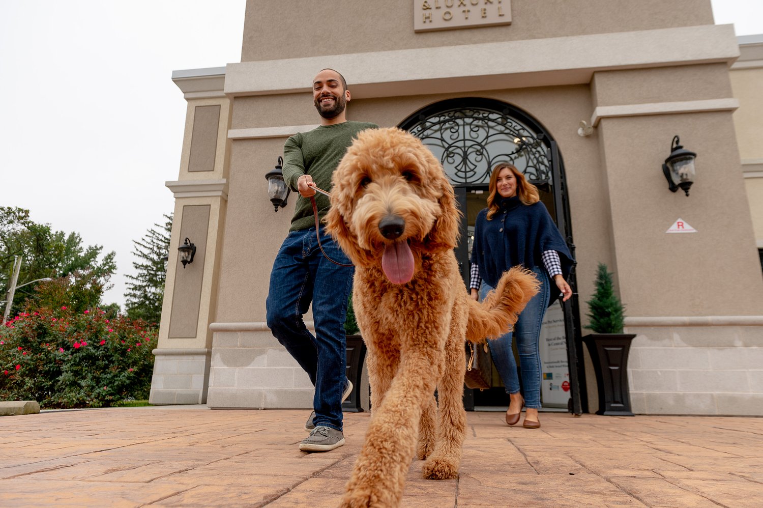N.J. luxury pet hotel starts accepting reservations for summer