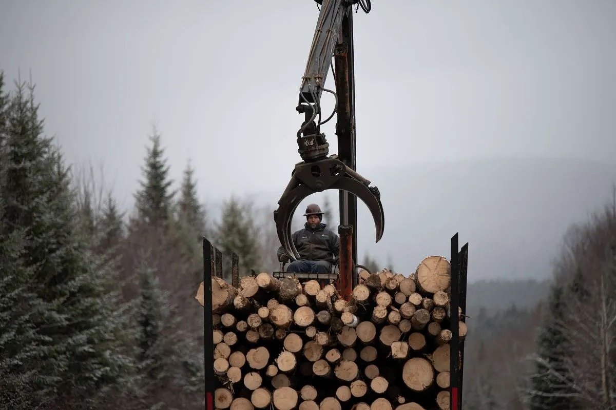 Maine loggers are used to hard times. Then came the tariffs.