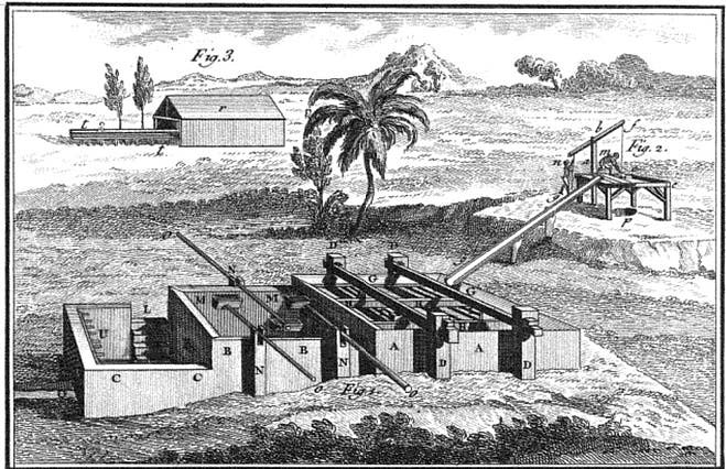 The Unbroken Line: Before sugar, indigo was Louisiana’s cash crop 