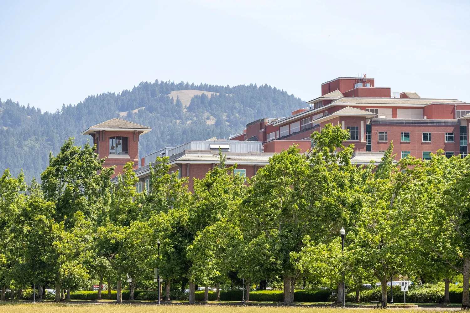 'Spillover effects' linger in emergency care at PeaceHealth RiverBend