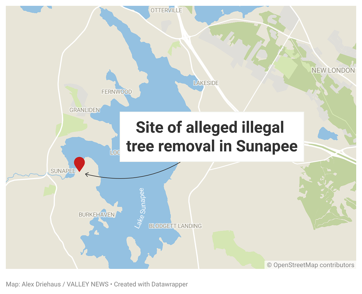 Man indicted on charges of cutting down Sunapee neighbor's trees