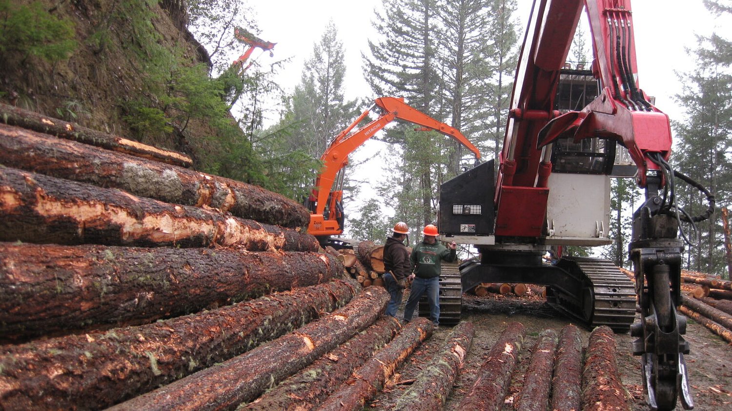 After Loveall touts win, official says change to timber receipts won’t help Lane County’s budget 