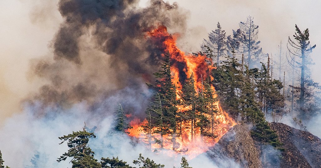 Property tax cut from controversial wildfire funding proposal, but big timber could still get break