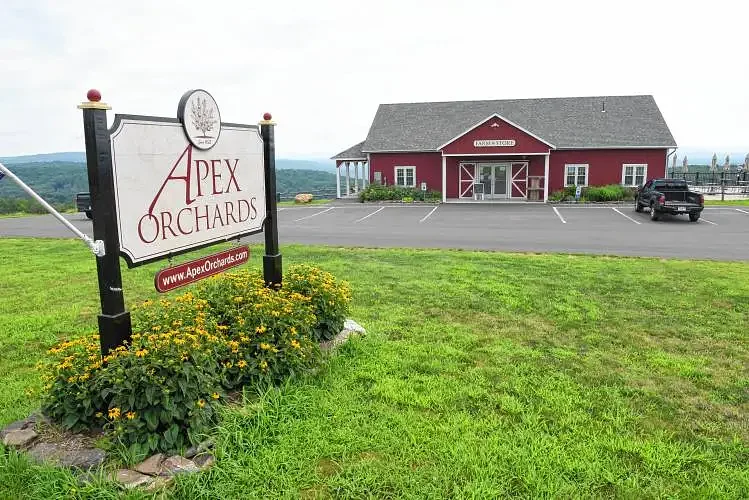 Apex Orchards of Shelburne hosting annual Peach Fest this weekend