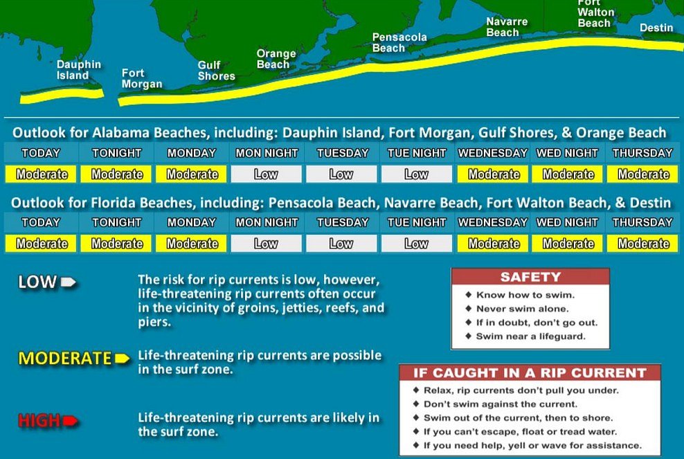 Dangerous marine life at Gulf Coast beach: Latest conditions in Panama City, Destin, Gulf Shores