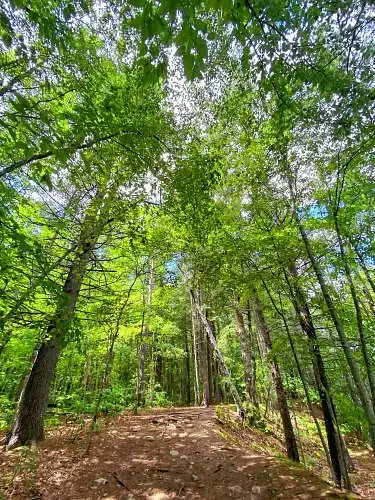 Arts Ahead: Gingerbread art, a group hike, a jazz performance and more
