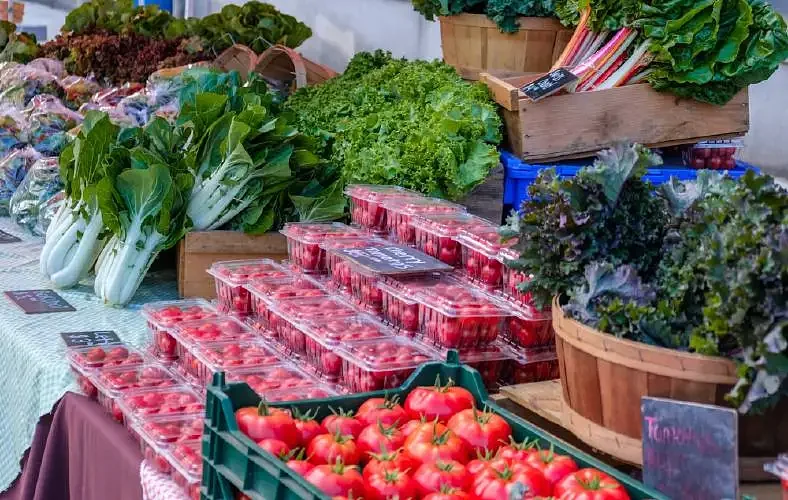Opinion: Food insecurity is a public health Emergency. We need to mobilize.