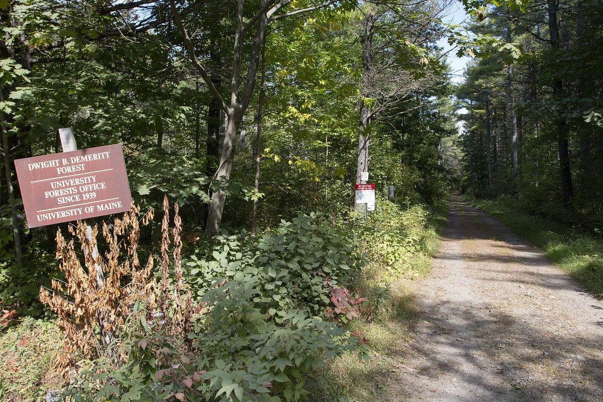 There will be a controlled burn in the UMaine forest next week