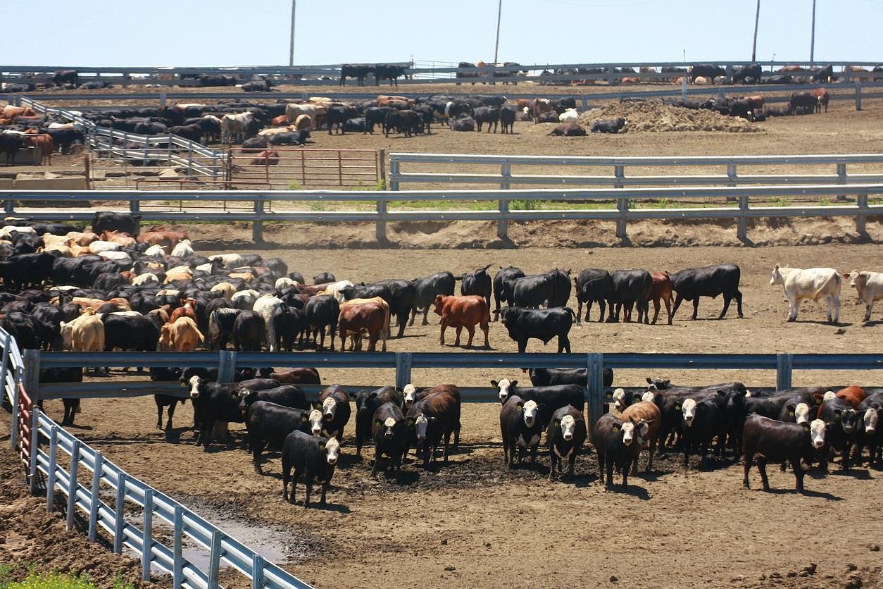 The PR campaign spinning Tyson’s brazen “climate-smart” beef claims