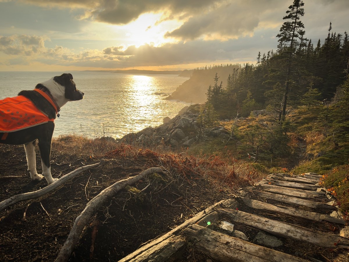 Why late fall is the best time to explore these 3 Down East preserves 