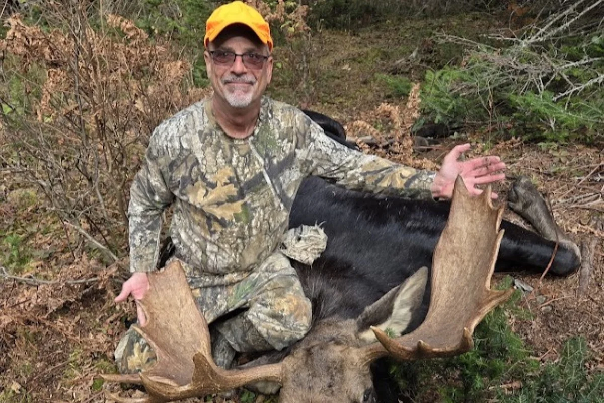 24-year wait for Maine moose hunt nearly goes wrong