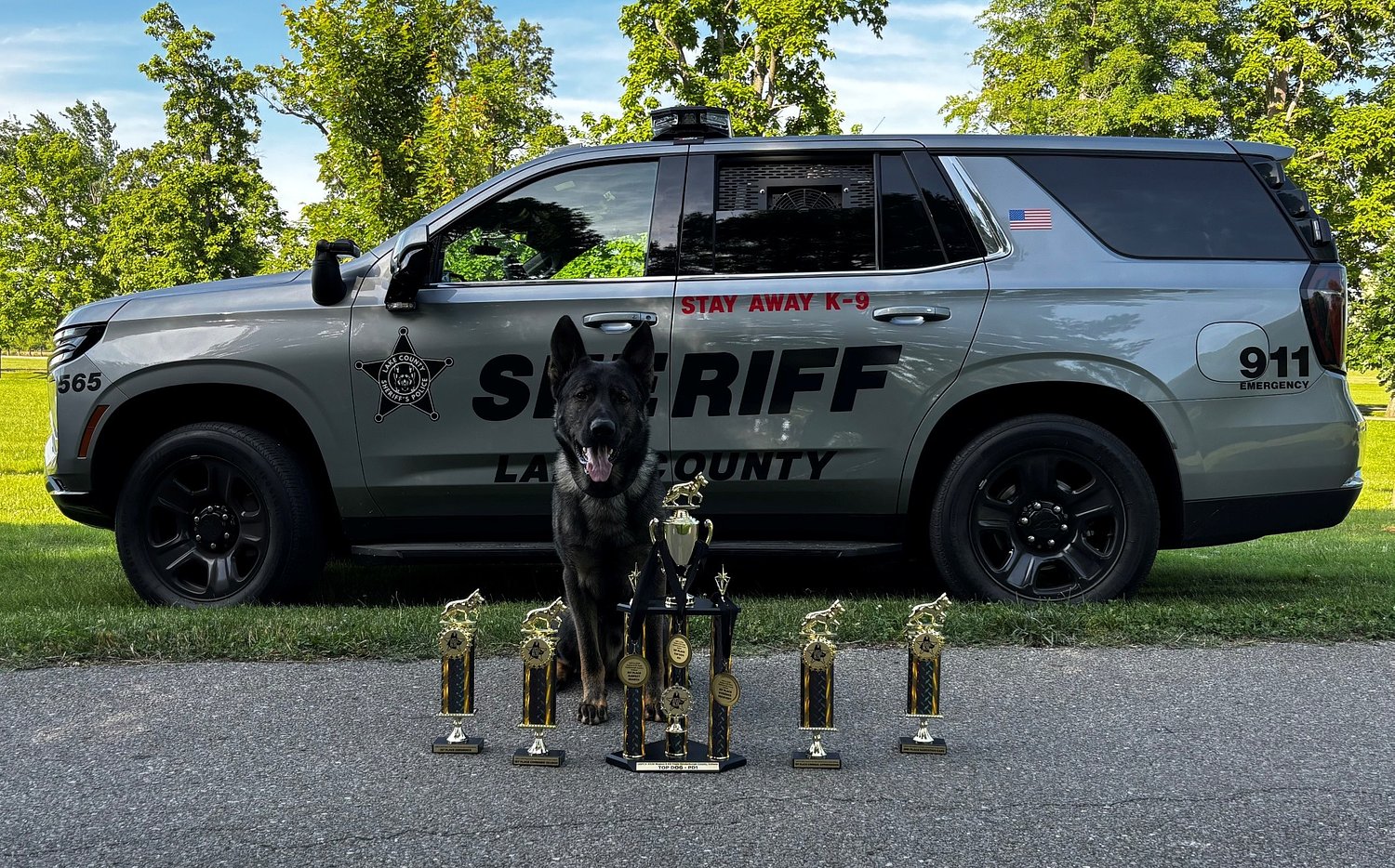 Sheriff’s K-9 teams qualify for national competition