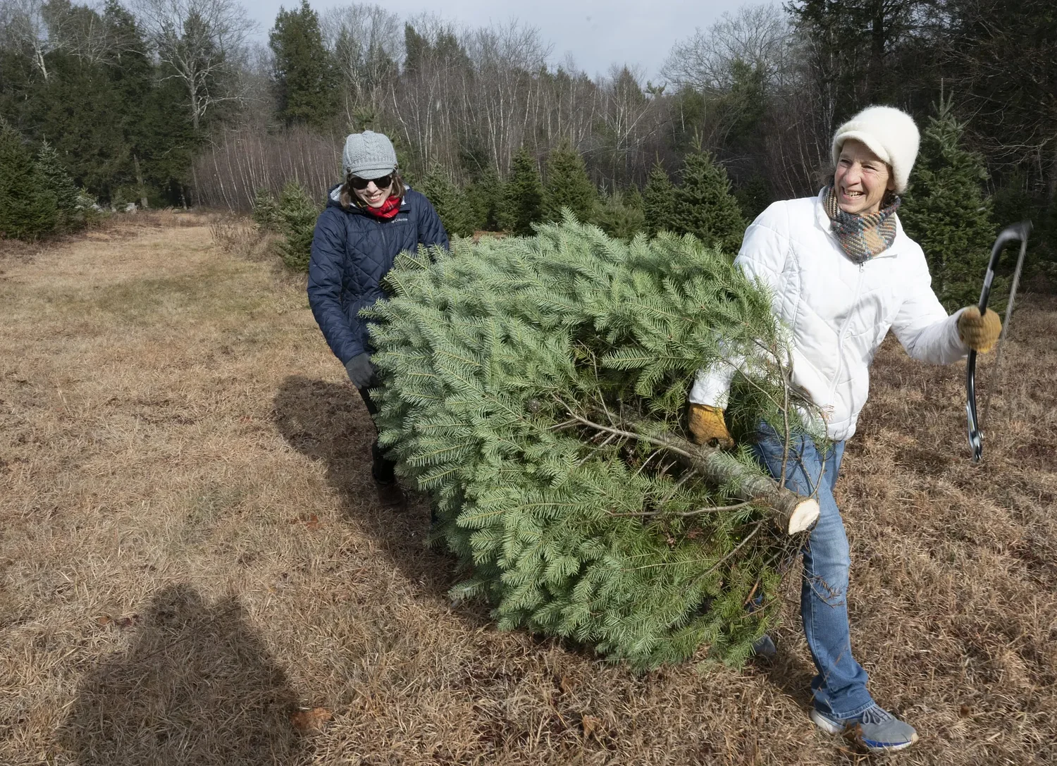 Valley Bounty: Hillside Christmas Tree Farm: A family-run, cut-your-own operation that offers unique ‘bear-trees’ and more