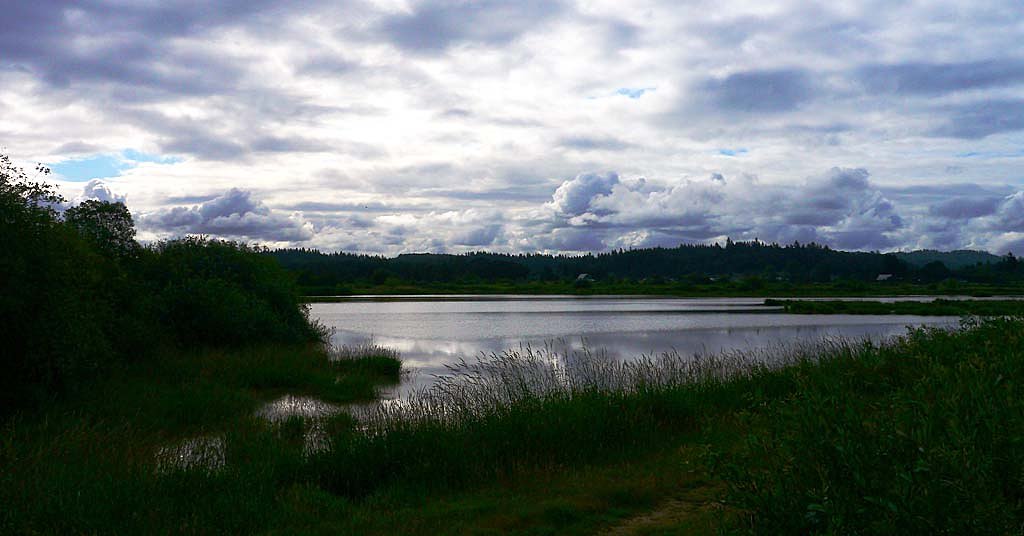 Oregon hopes to expand one of the last wetlands habitats in Willamette Valley