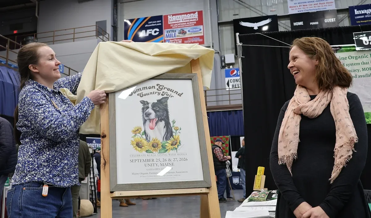 50th Common Ground Country Fair poster to feature border collie