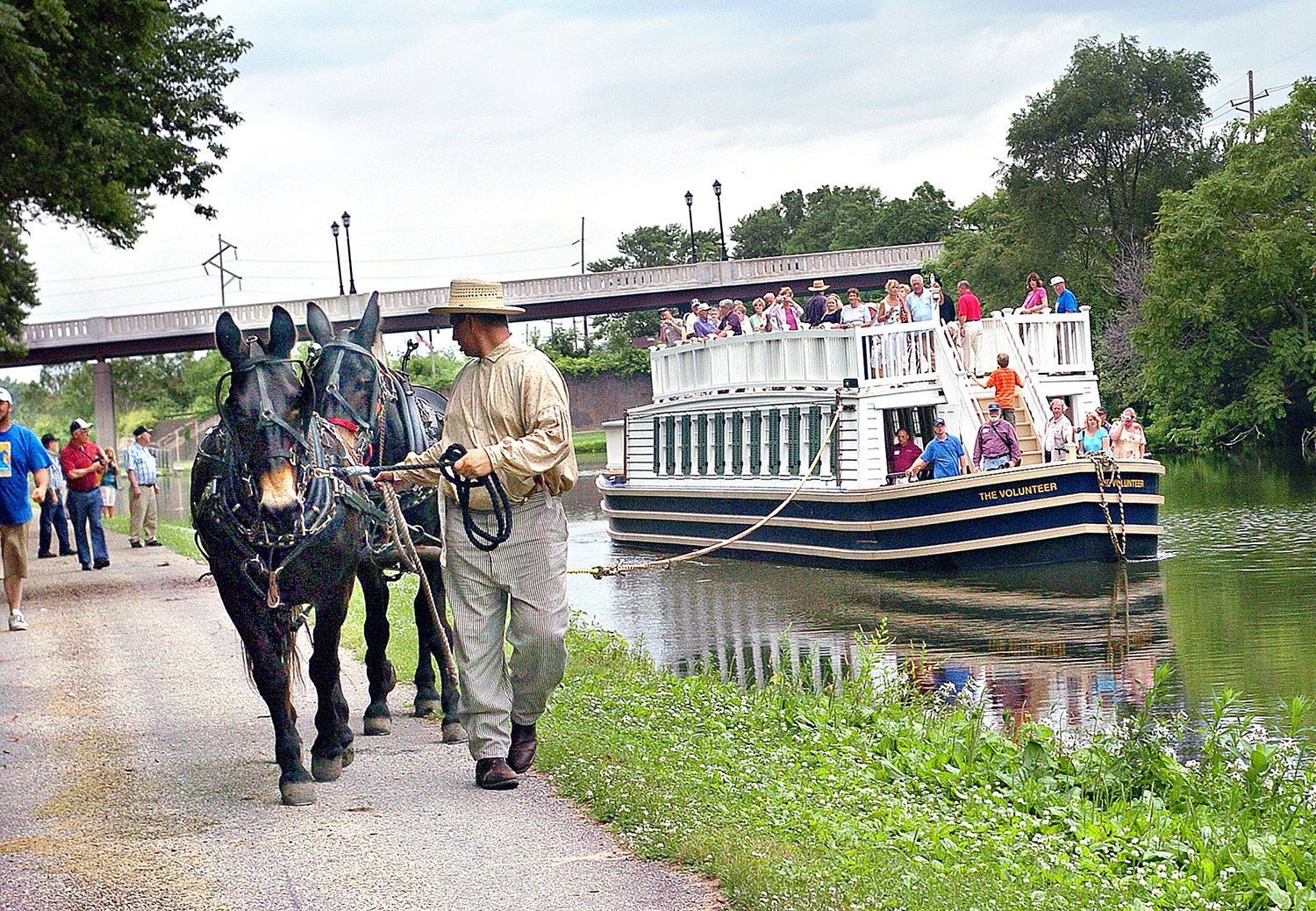 ‘He likes to have a little job’: I&M Canal mules thriving in new environments
