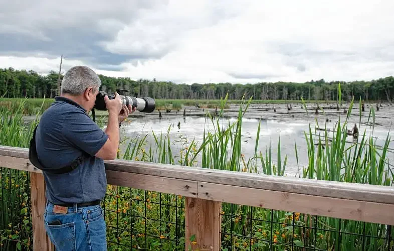 New Belchertown festival to shine spotlight on Lake Wallace