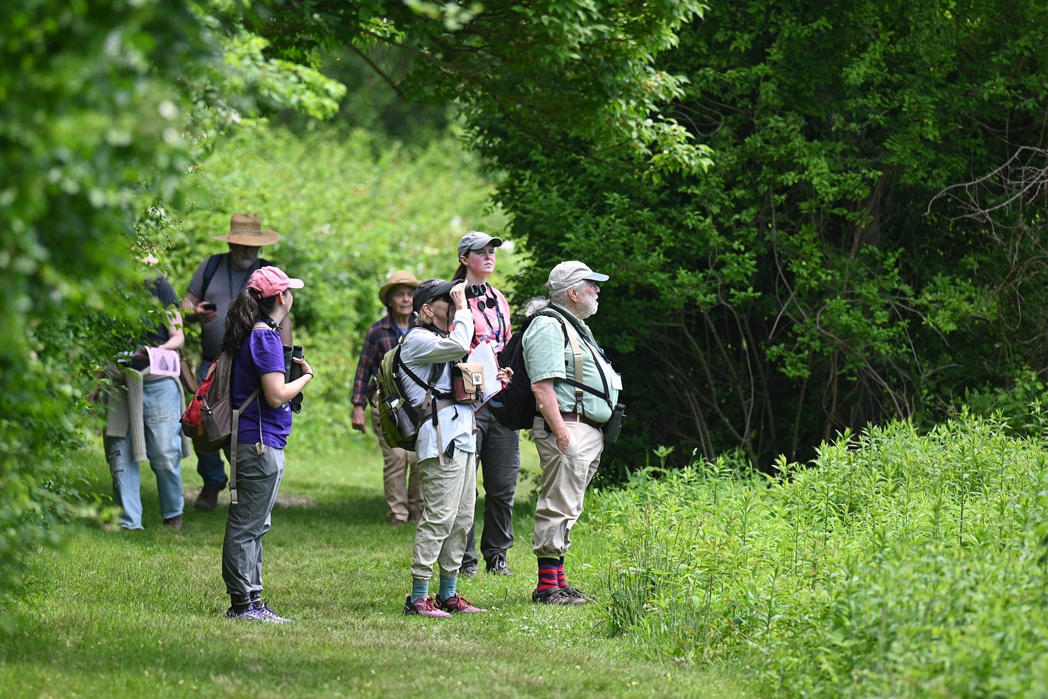 A Newport heiress's gift to nature endures at Norman Bird Sanctuary