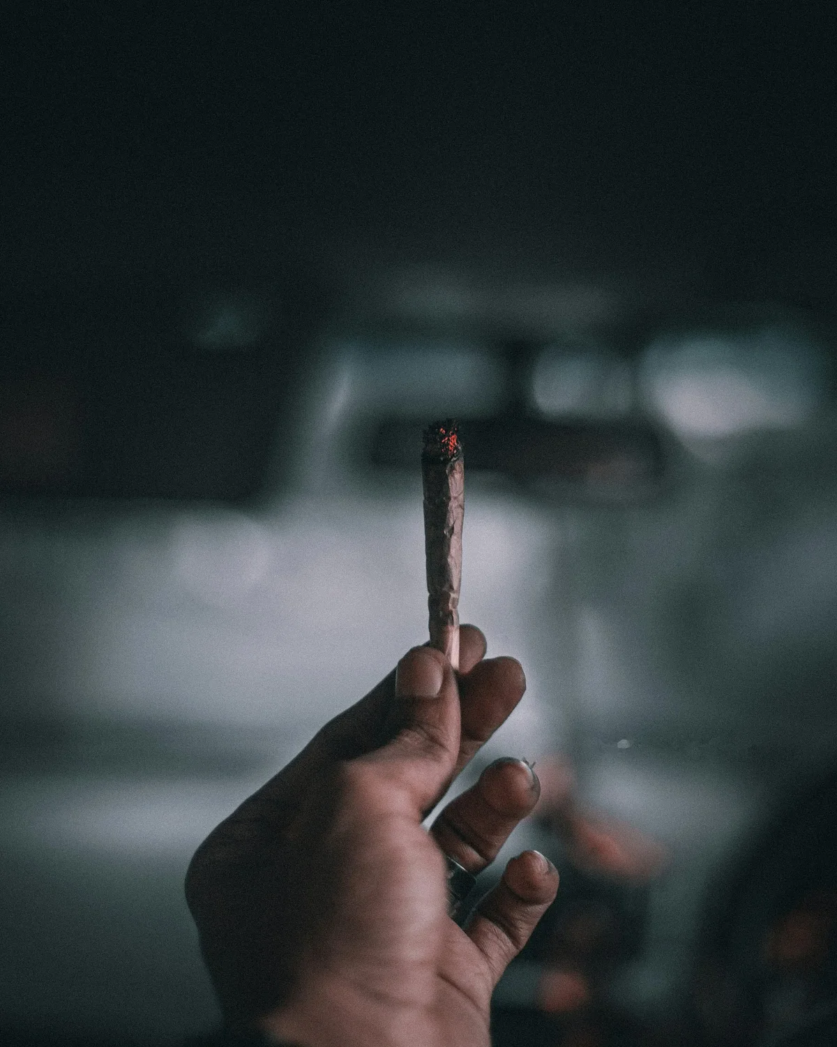 Beyond the high: Diving into Maryland’s cannabis data