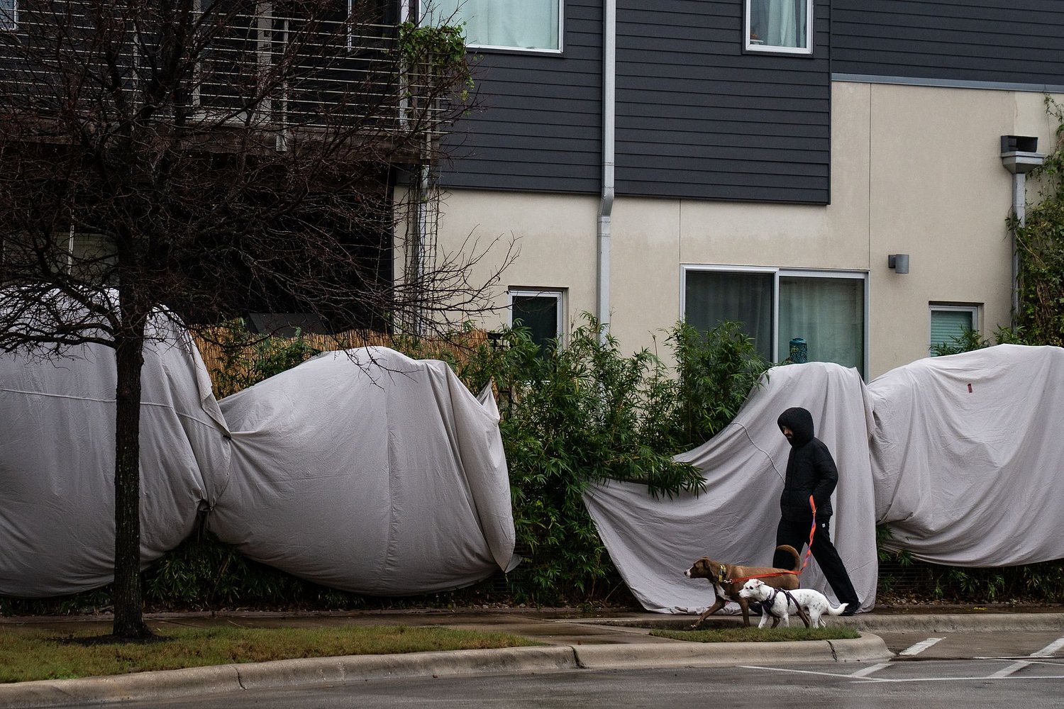 Live: Austin bridges start icing over as freezing rain moves in Saturday night