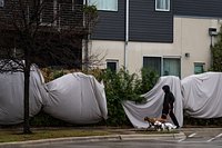 Live: Austin bridges start icing over as freezing rain moves in Saturday night