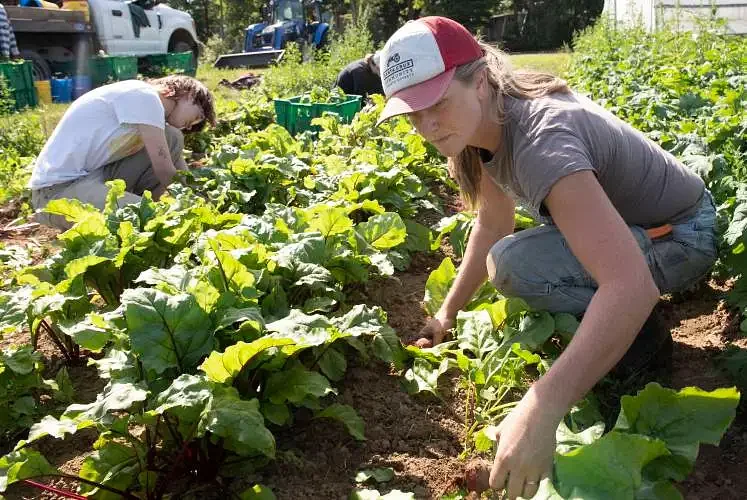 Conservation groups launch bid to protect rural landscape at Hampshire College