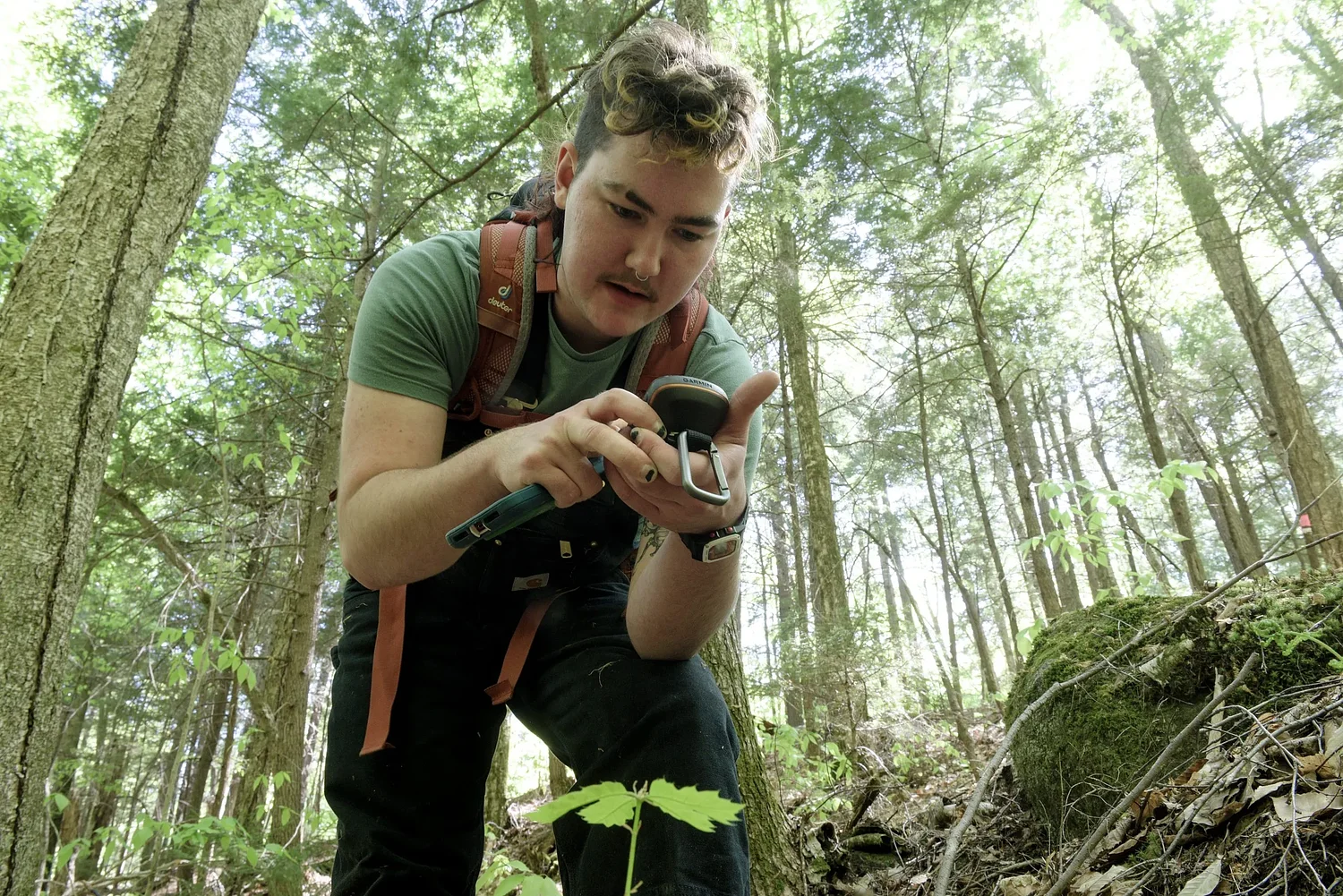 Upper Valley residents help to keep experimental forest open