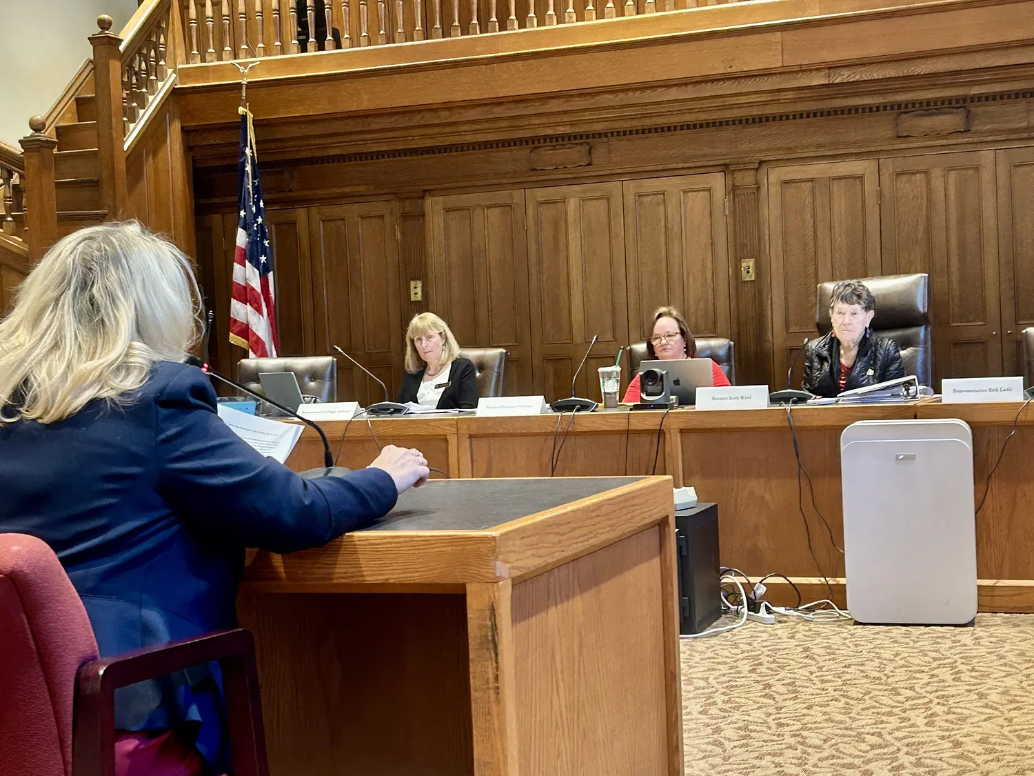 After a year without meeting, a new Democratic chair pledges to ramp up committee's oversight of education freedom accounts