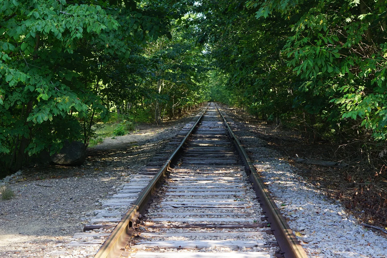 As rail trail purchase moves forward, Scenic Railriders owner does ‘everything I can to save my business’