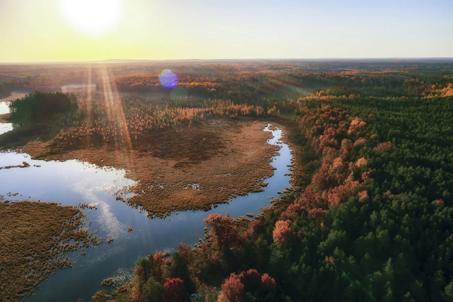 Trump Is Desperate to End Era of Land, Water, Wildlife Protections