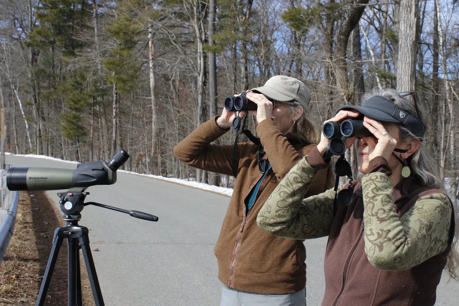 PHOTOS: Birdwatching buddies