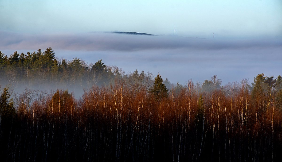 Morning Update: What you need to know in Maine today