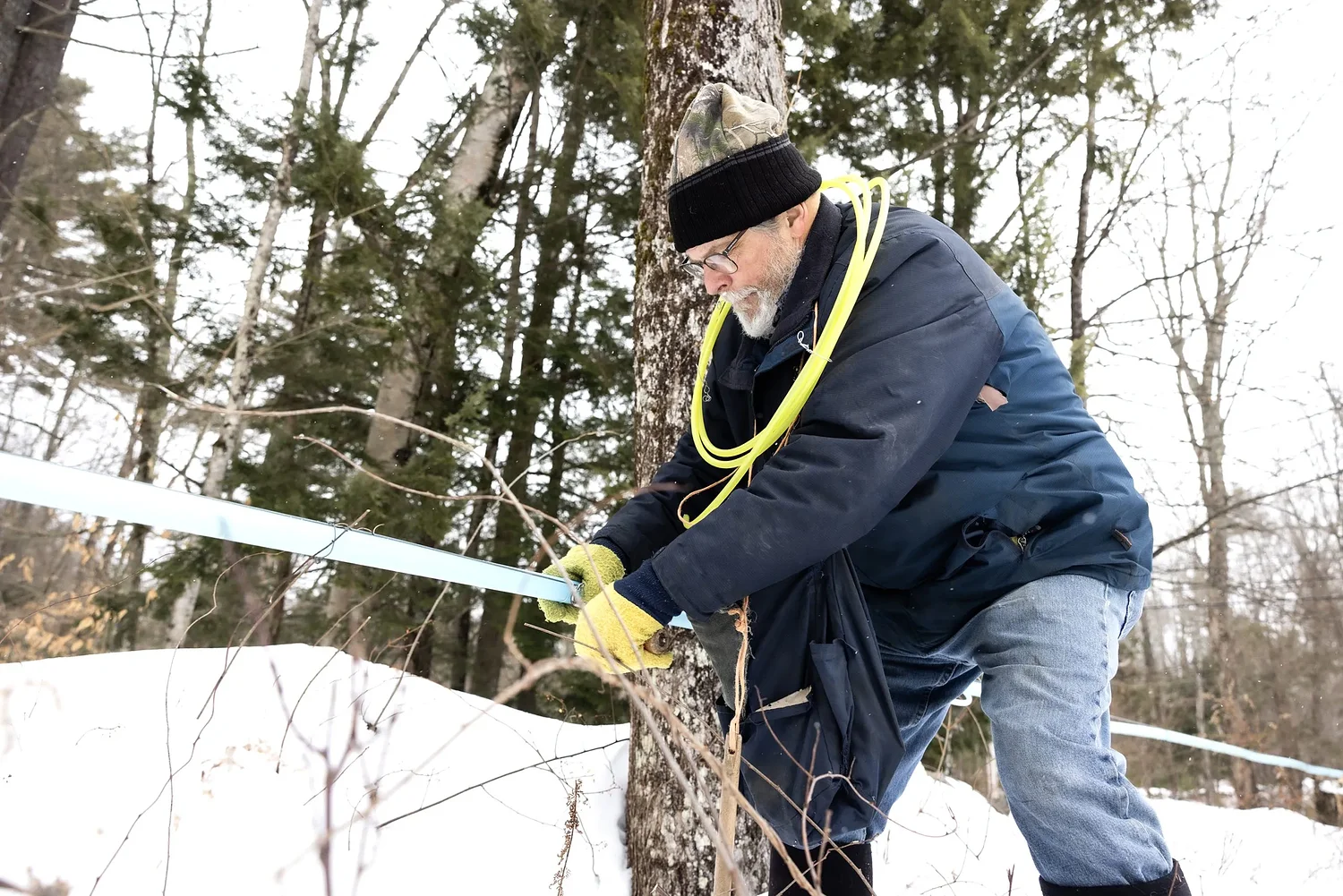 Warming days, cold nights mean it's almost maple syrup time