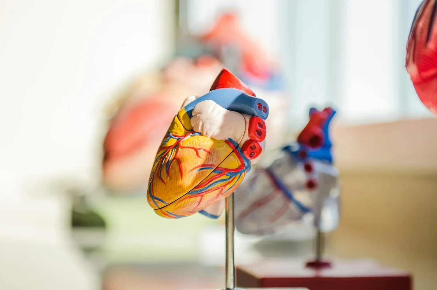 American Heart Association and NNPA team up to discuss changing the future of cardiovascular health