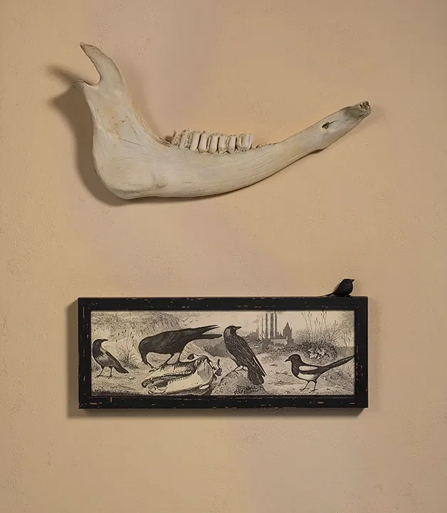 Harris Center hosts “Art for Birds” artist talk on Sept. 11