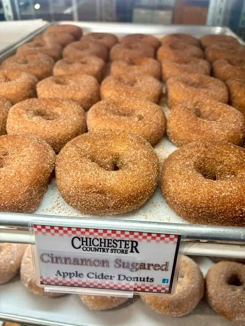 Elementary school students propose official state doughnut