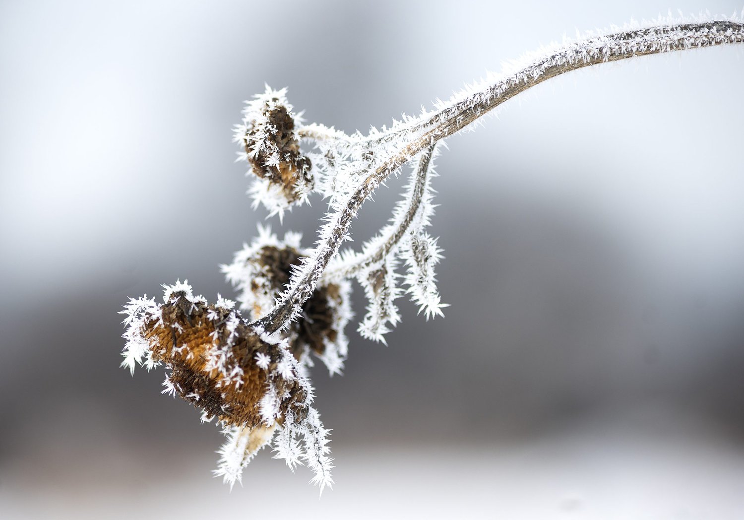 Yes, January was cold, but it was no record