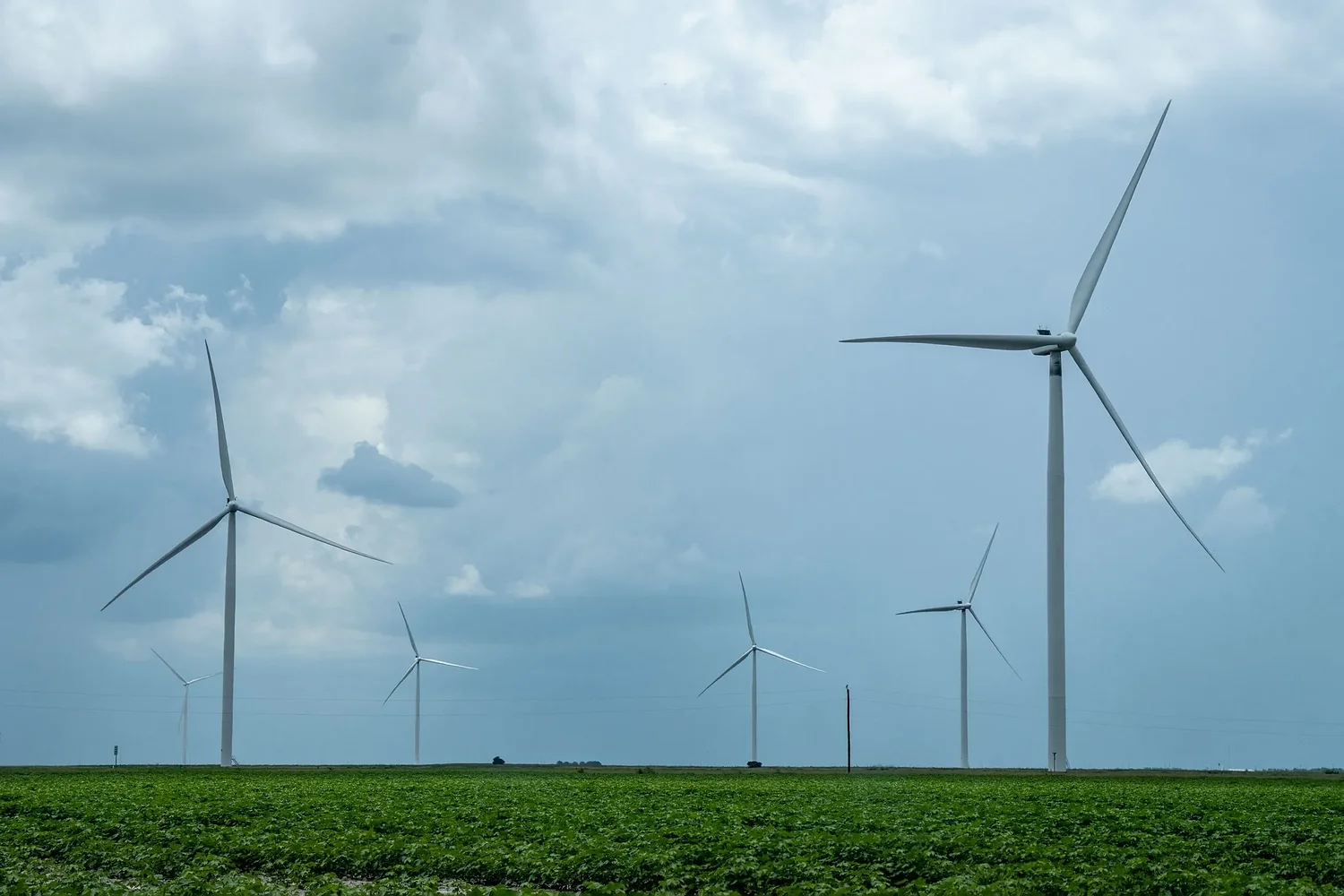 A new South Texas data center will rely on untapped renewable energy