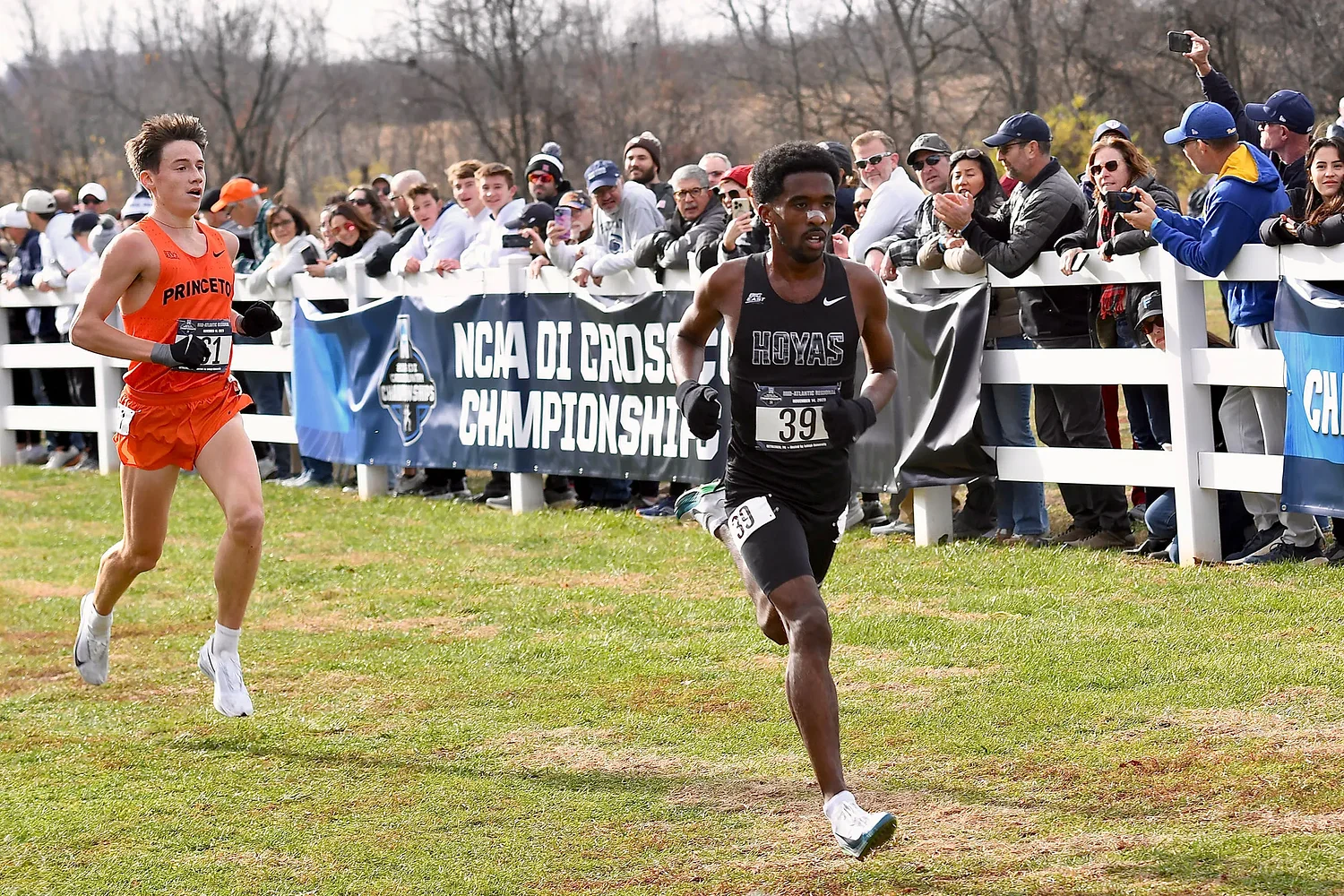 Lebanon’s Harriman runs personal best at NCAA cross country championship meet